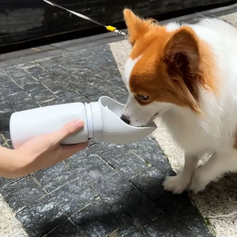 550ml Folding Pet Outdoor Walking Mug | Portable Travel Water Bottle for Dogs and Cats | Drinking Water Dispenser Cup | Alo Trendy
