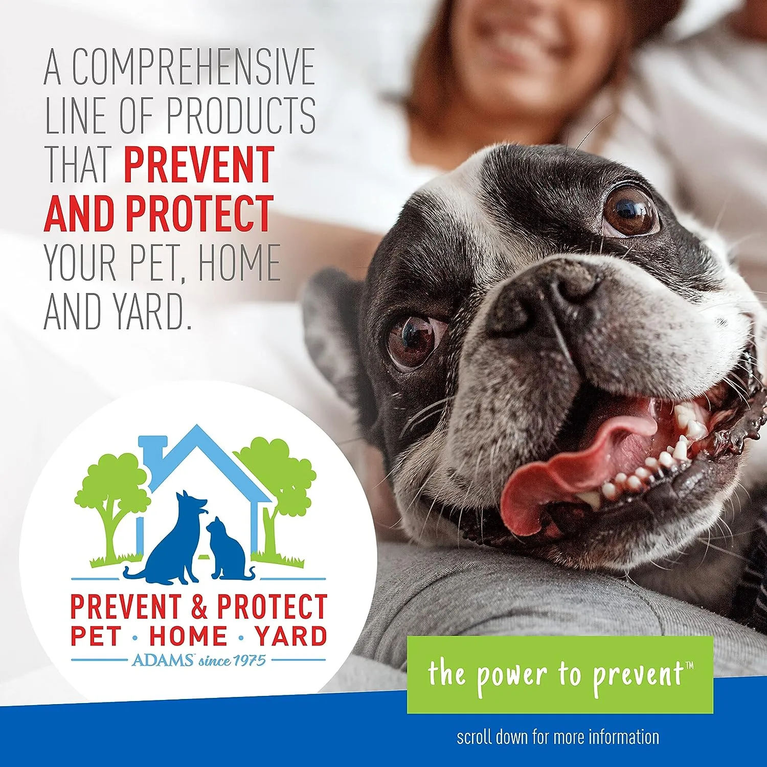 Adams Premium Flea & Tick Collar Plus for Dogs (2-pack/Gold Tin)