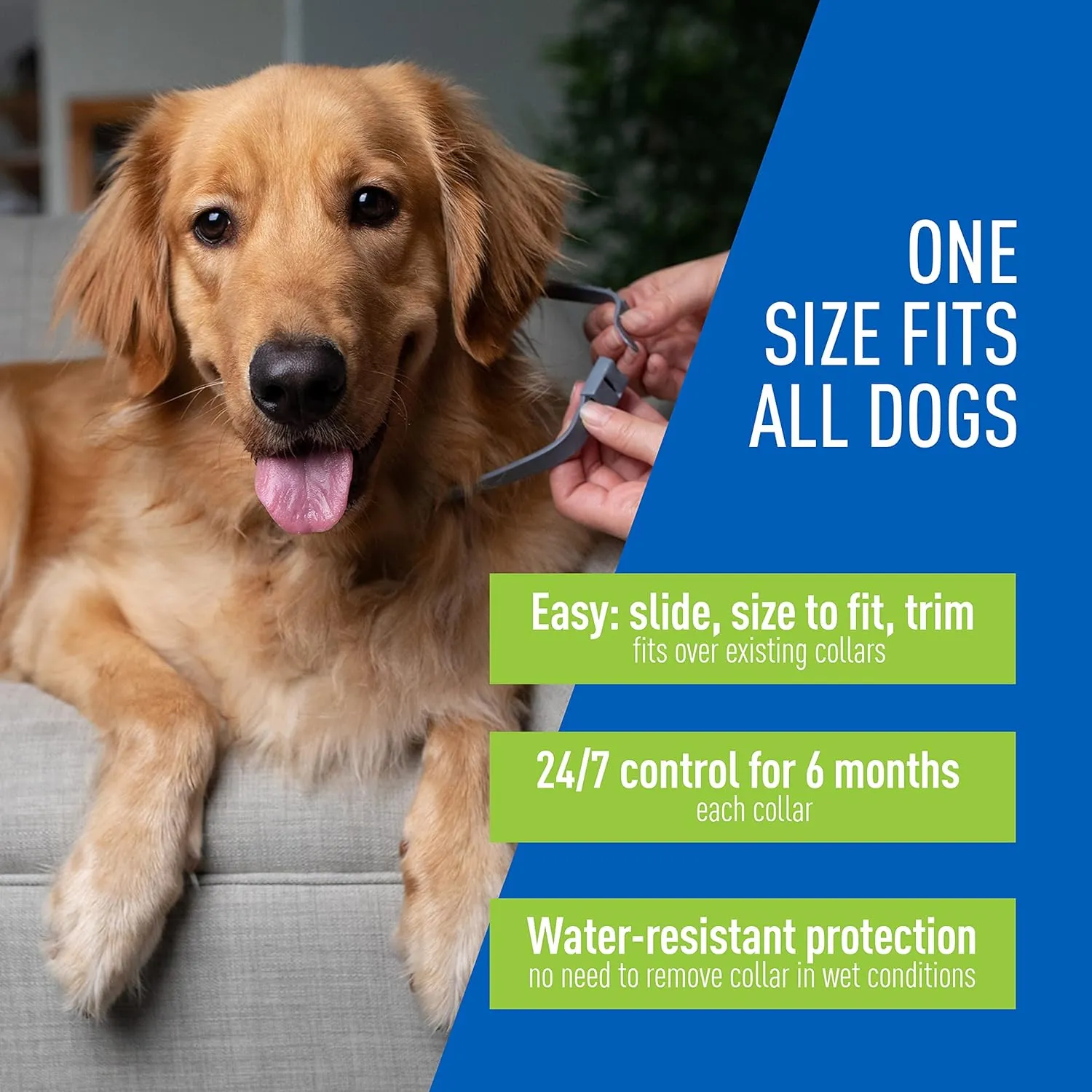 Adams Premium Flea & Tick Collar Plus for Dogs (2-pack/Gold Tin)