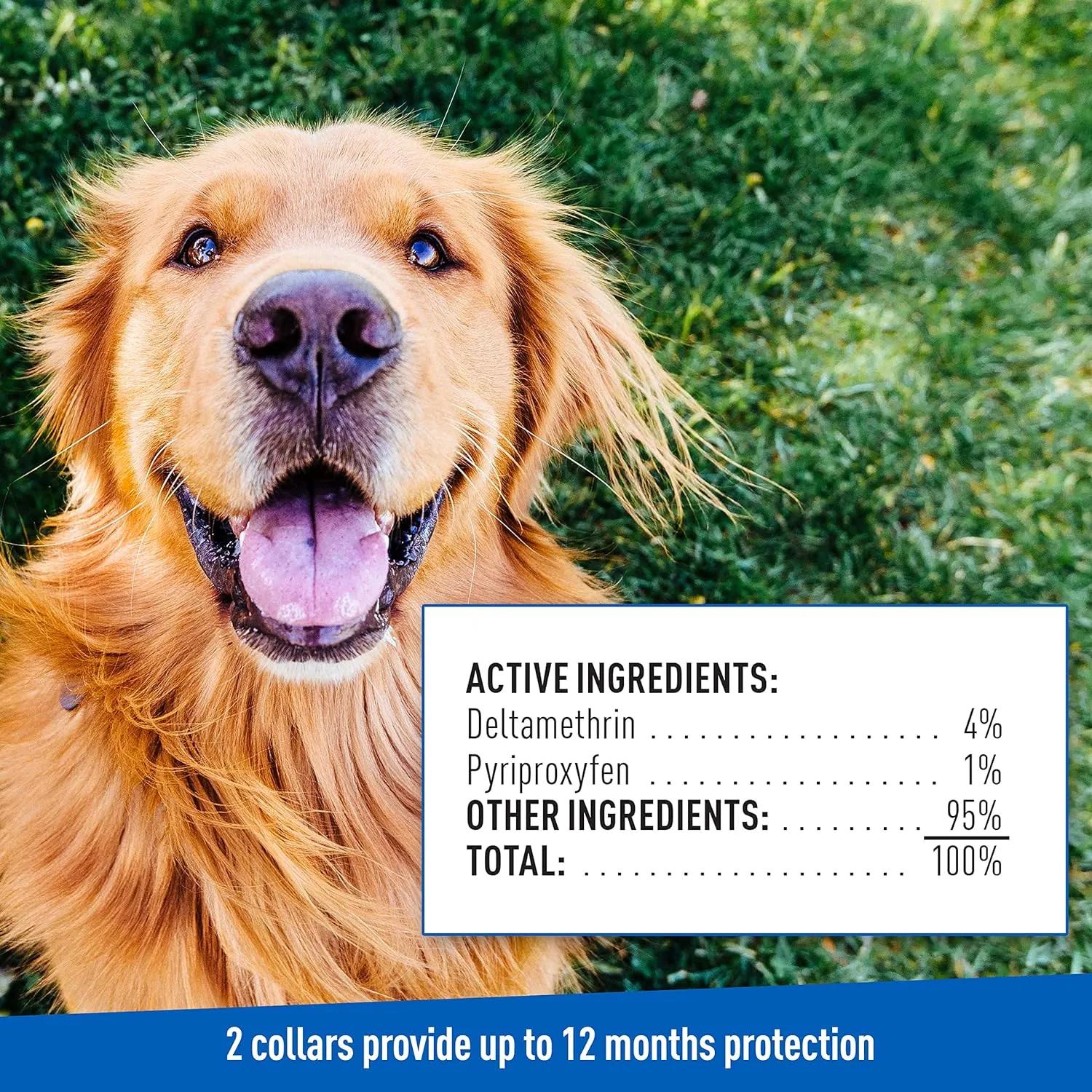 Adams Premium Flea & Tick Collar Plus for Dogs (2-pack/Gold Tin)