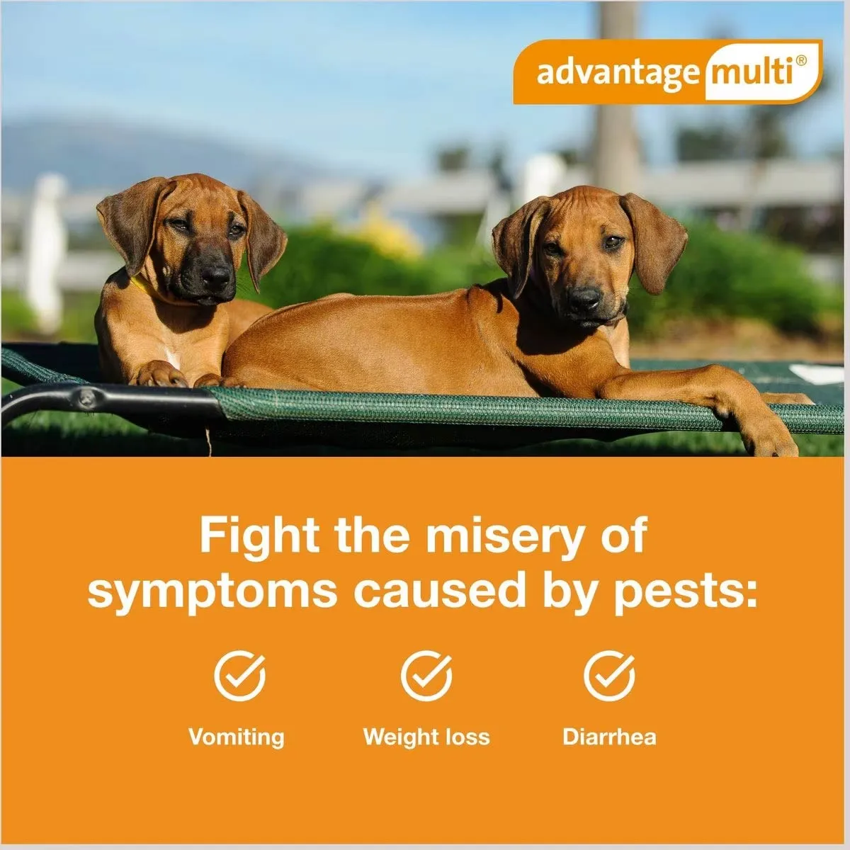 Advantage Multi for Dogs (imidacloprid   moxidectin) Topical Solution, 6 Pack