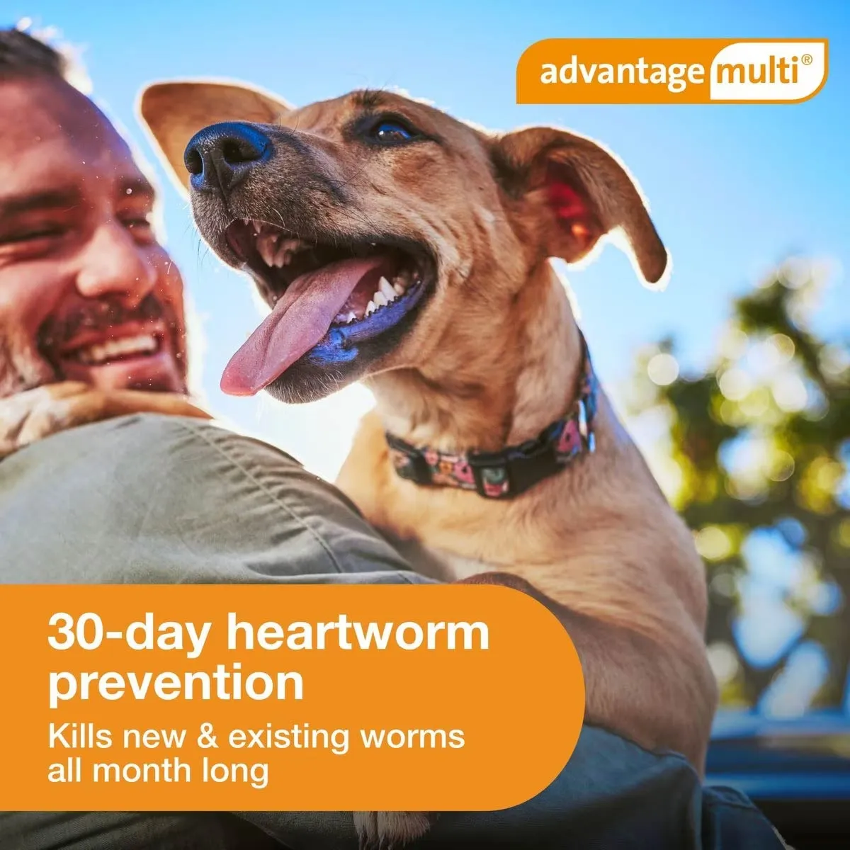 Advantage Multi for Dogs (imidacloprid   moxidectin) Topical Solution, 6 Pack