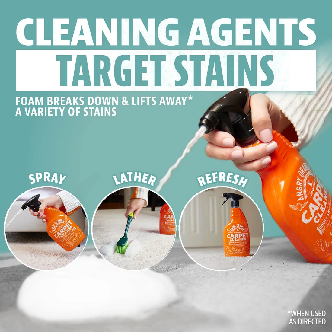Carpet & Upholstery Cleaner