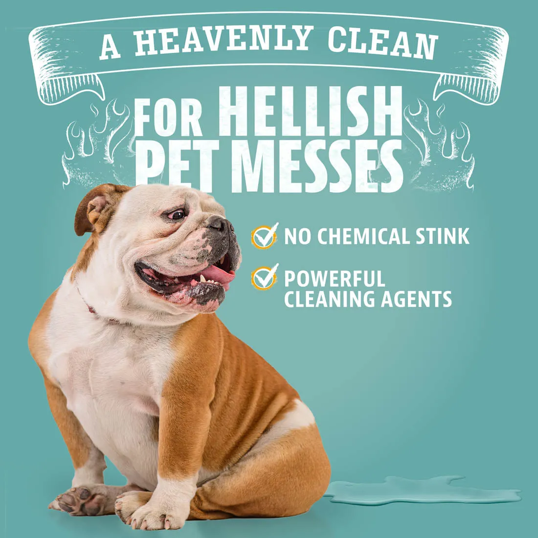 Carpet & Upholstery Cleaner