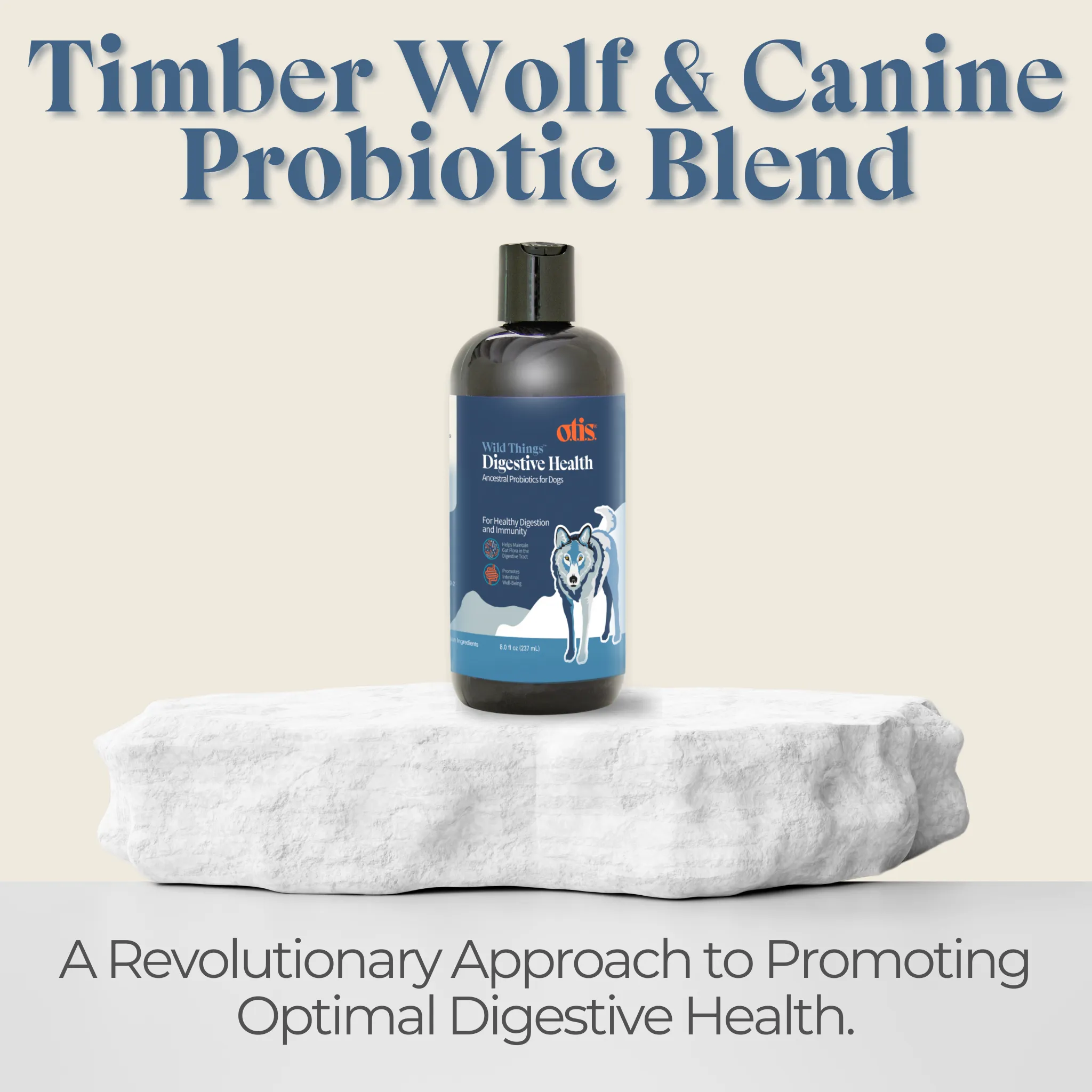 Digestive Health Ancestral Probiotic