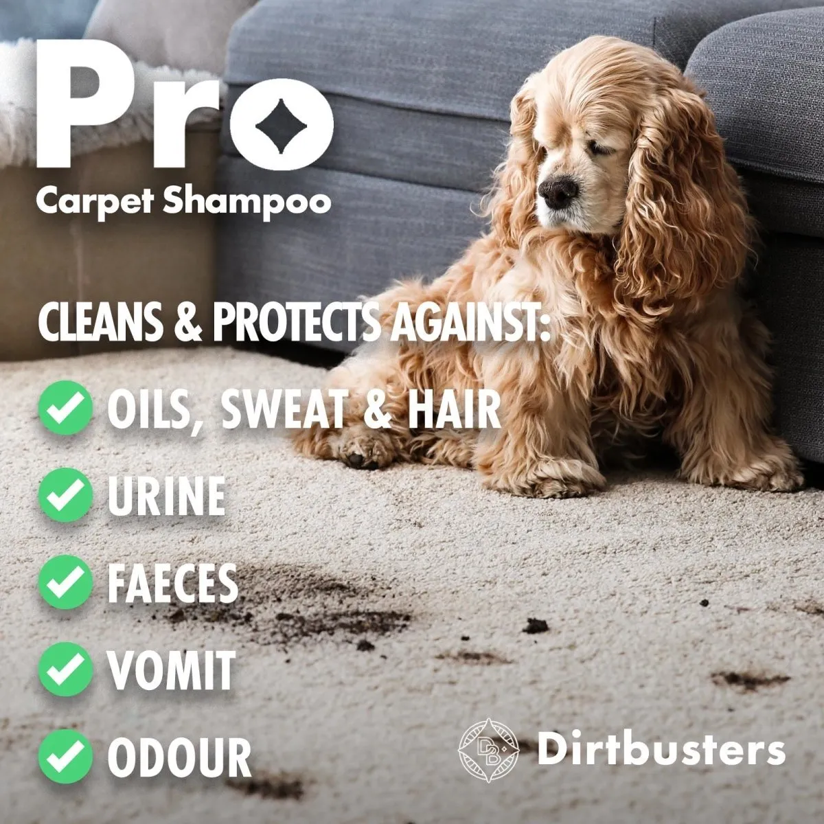 Dirtbusters Clean & Protect 4-in-1 Carpet Upholstery Extraction Shampoo (5 Litre) TRADE