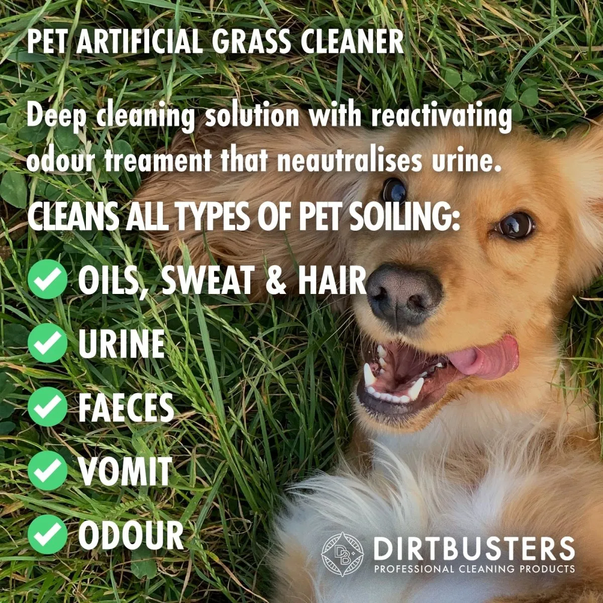 Dirtbusters Pet Artificial Grass Cleaner With Urine Deodoriser (5L)