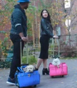 Madison Carrier With Pet-Trek®