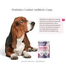 Nutriflex Digestimax 180g