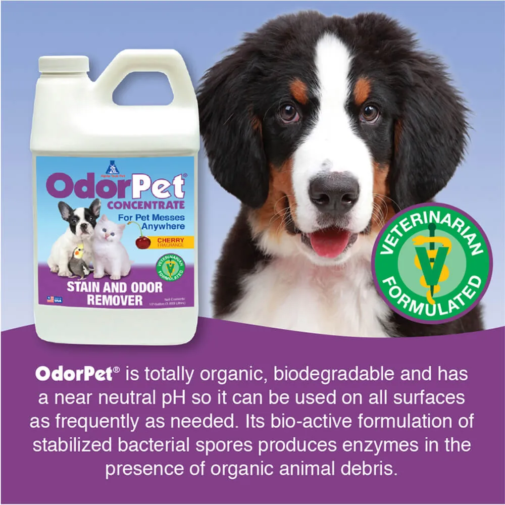 OdorPet Stain and Odor Remover Concentrate, ½ Gallon
