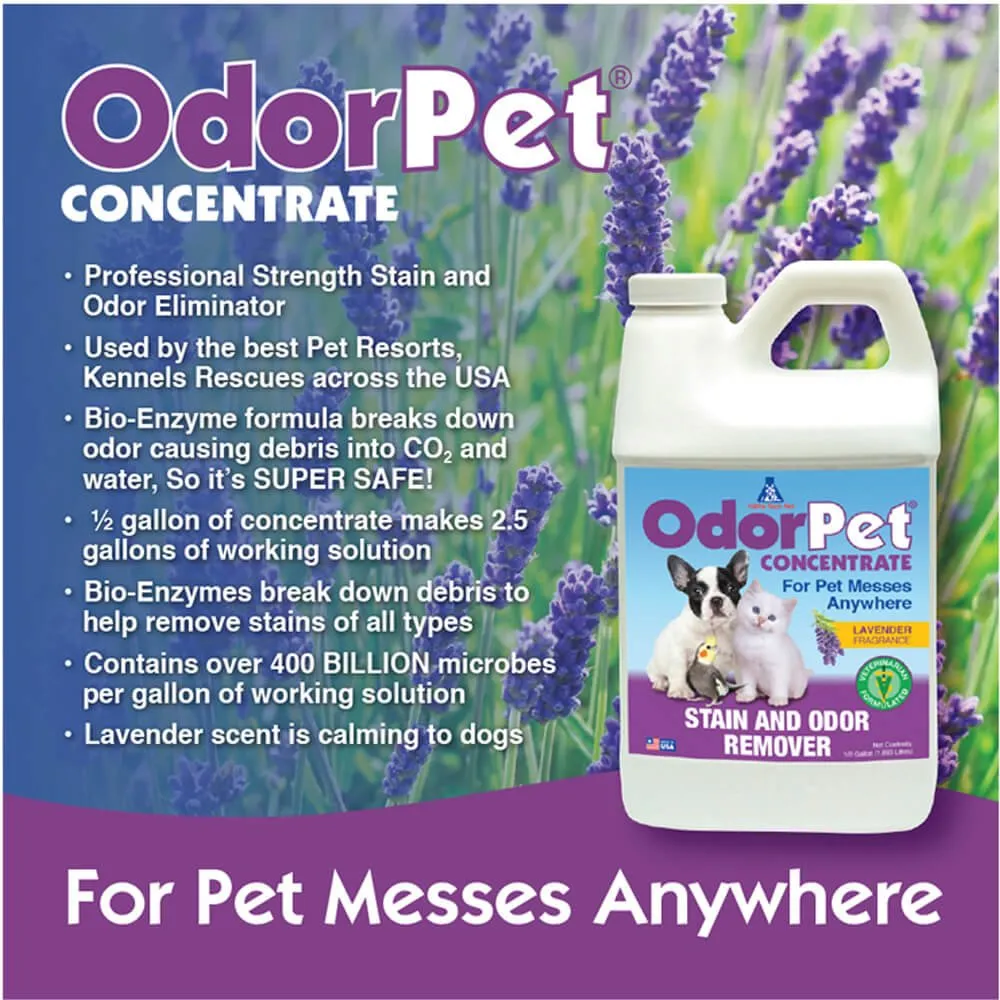 OdorPet Stain and Odor Remover Concentrate, ½ Gallon
