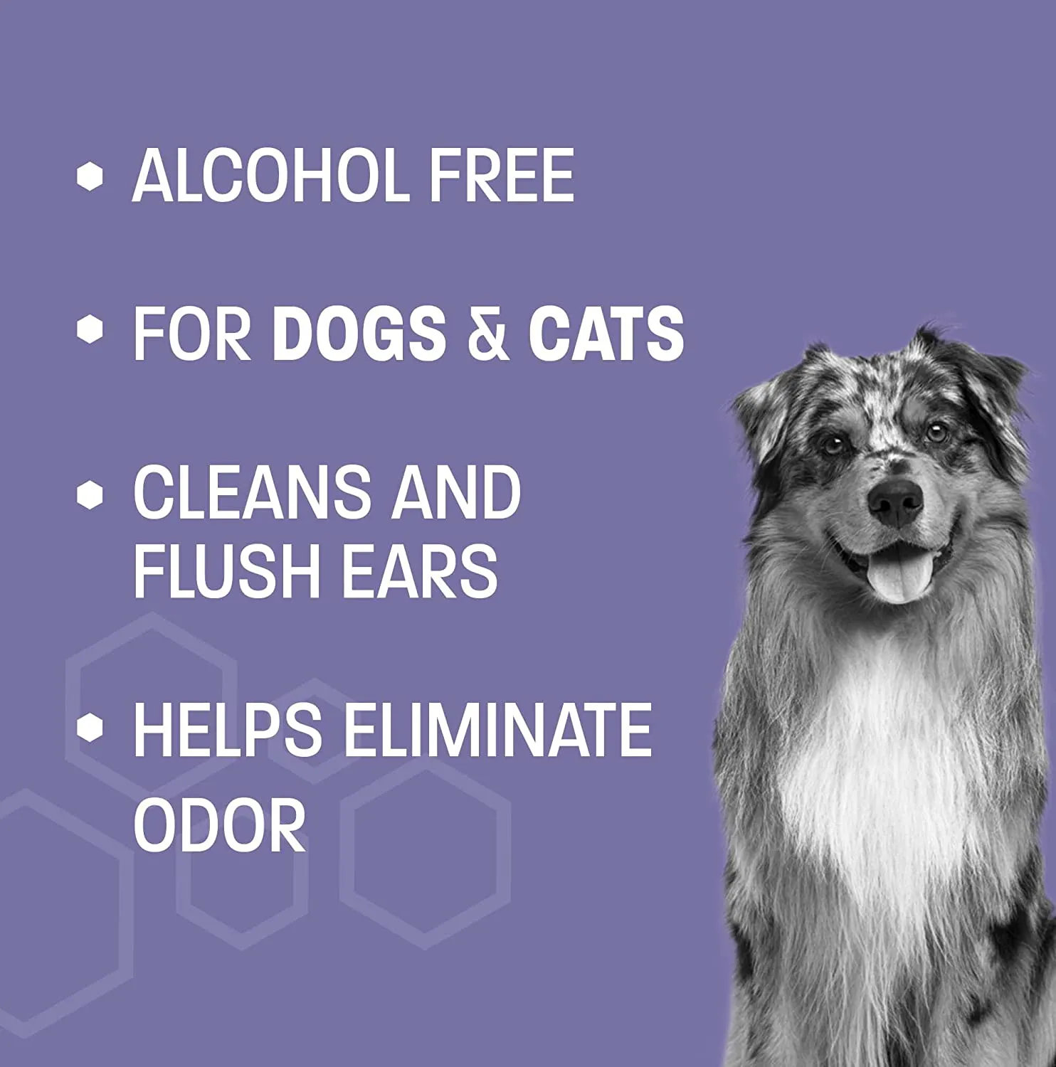 Pet Health Pros Advanced Pet Ear Cleaner: Easy to Use, Removes Dirty and Prevents Itchiness - 8oz.