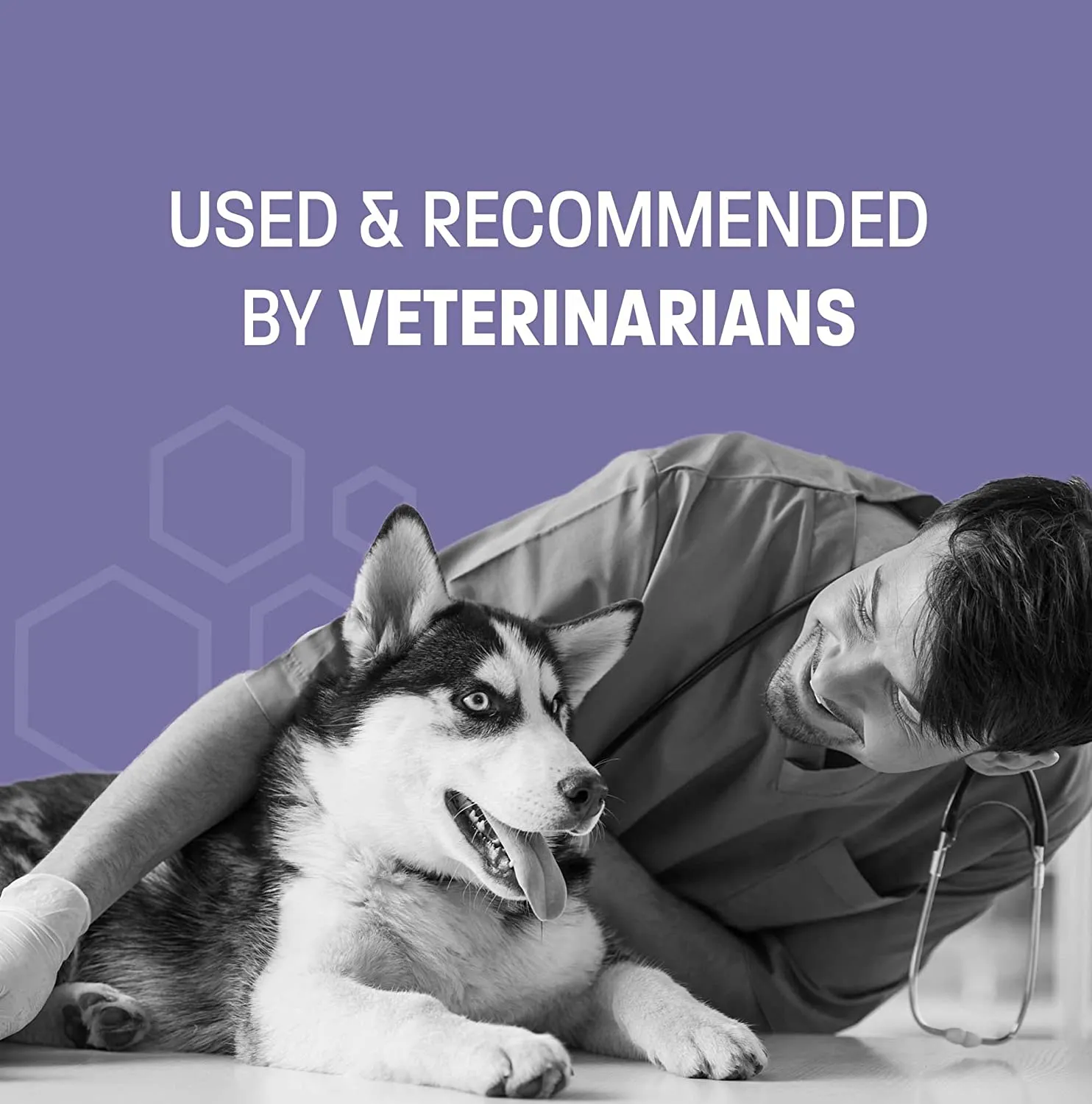 Pet Health Pros Advanced Pet Ear Cleaner: Easy to Use, Removes Dirty and Prevents Itchiness - 8oz.