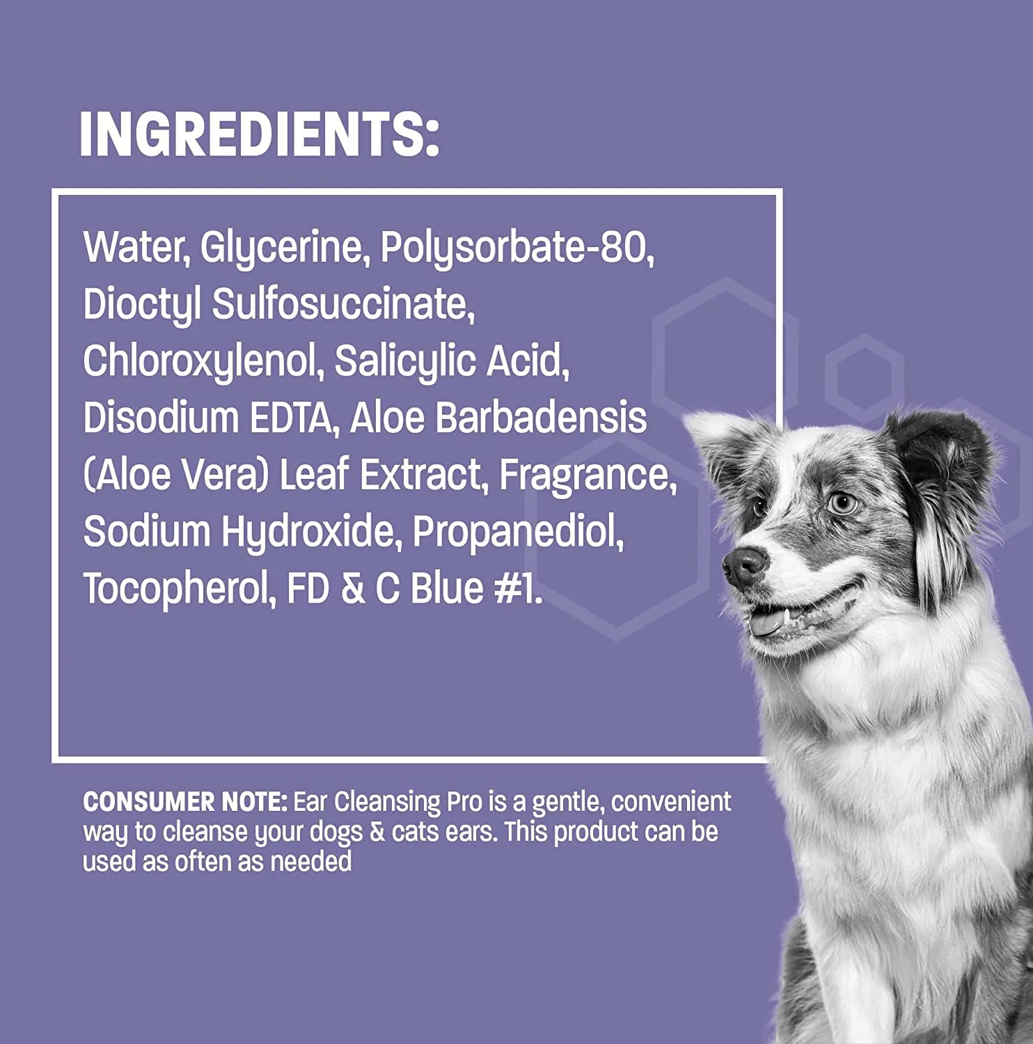 Pet Health Pros Advanced Pet Ear Cleaner: Easy to Use, Removes Dirty and Prevents Itchiness - 8oz.