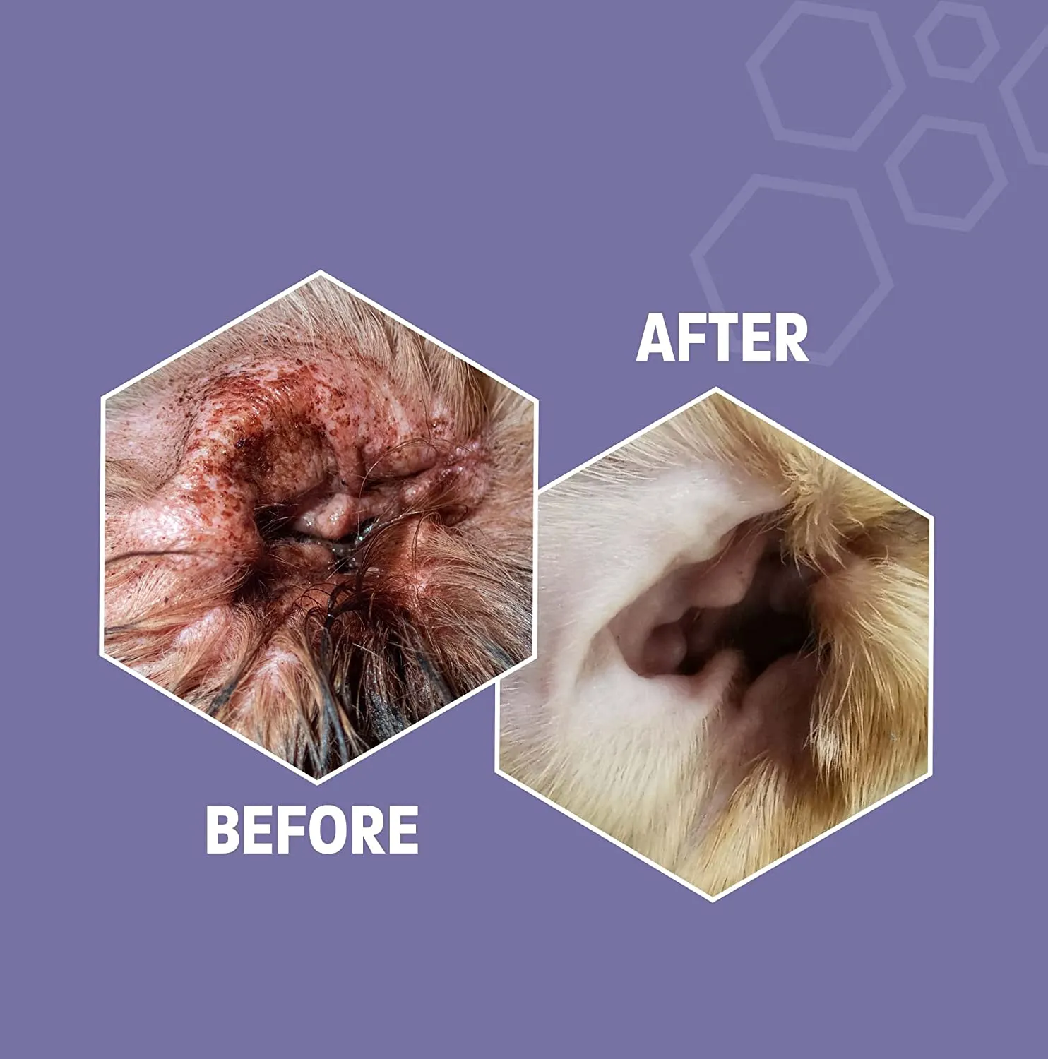 Pet Health Pros Advanced Pet Ear Cleaner: Easy to Use, Removes Dirty and Prevents Itchiness - 8oz.
