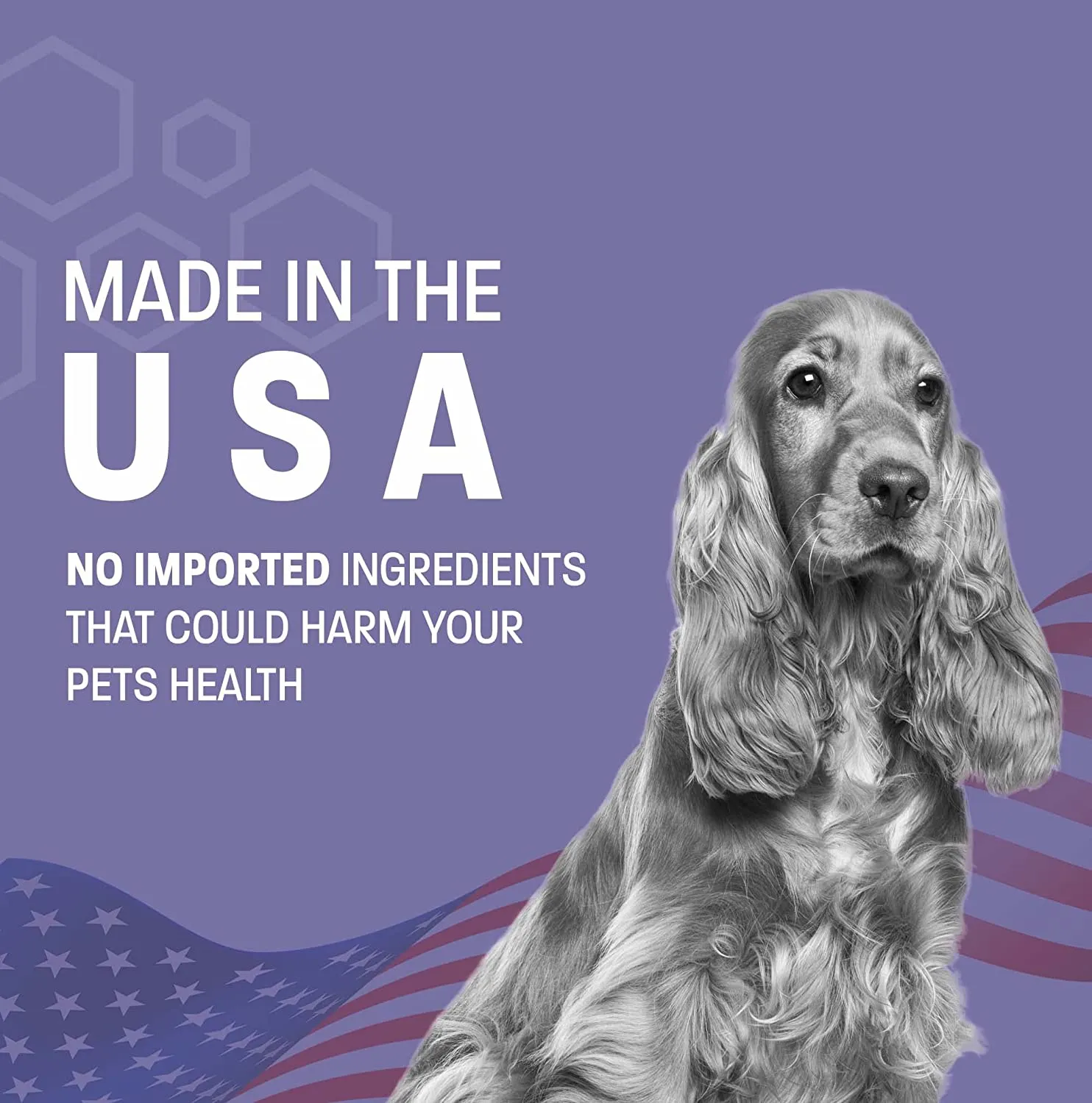 Pet Health Pros Advanced Pet Ear Cleaner: Easy to Use, Removes Dirty and Prevents Itchiness - 8oz.