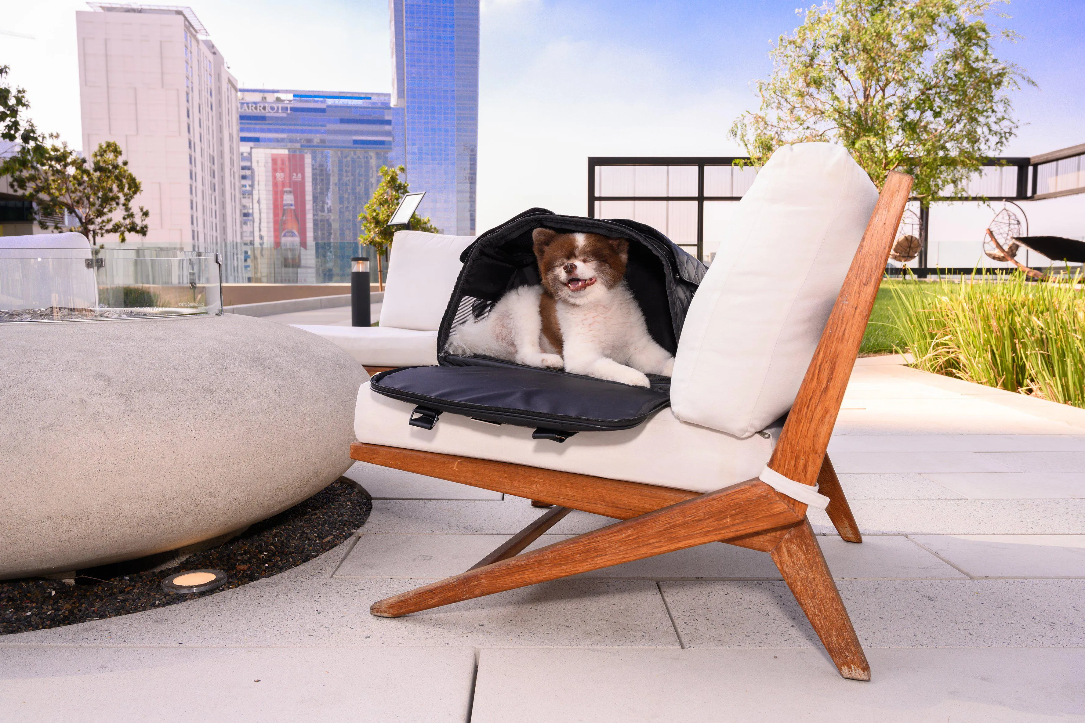 Petique The Lux Pet Carrier