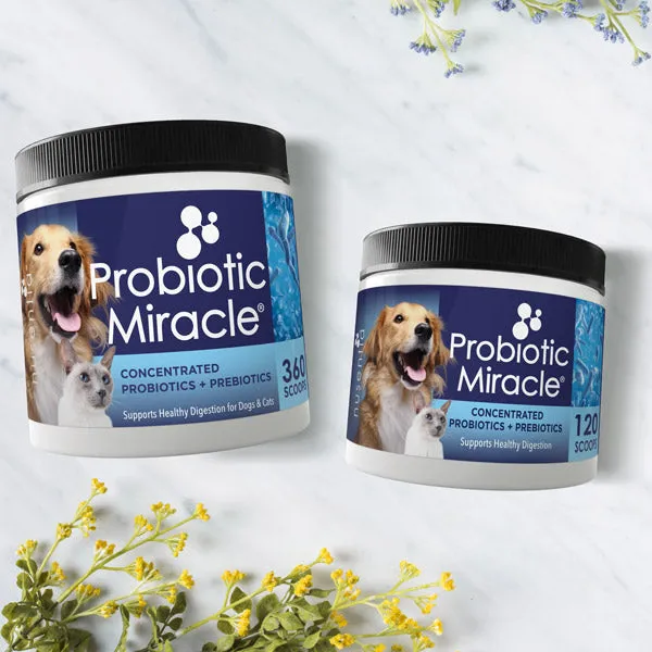 Probiotic Miracle®