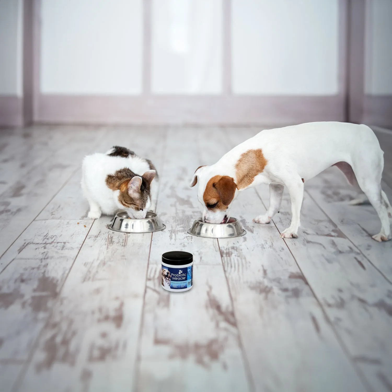 Probiotic Miracle®