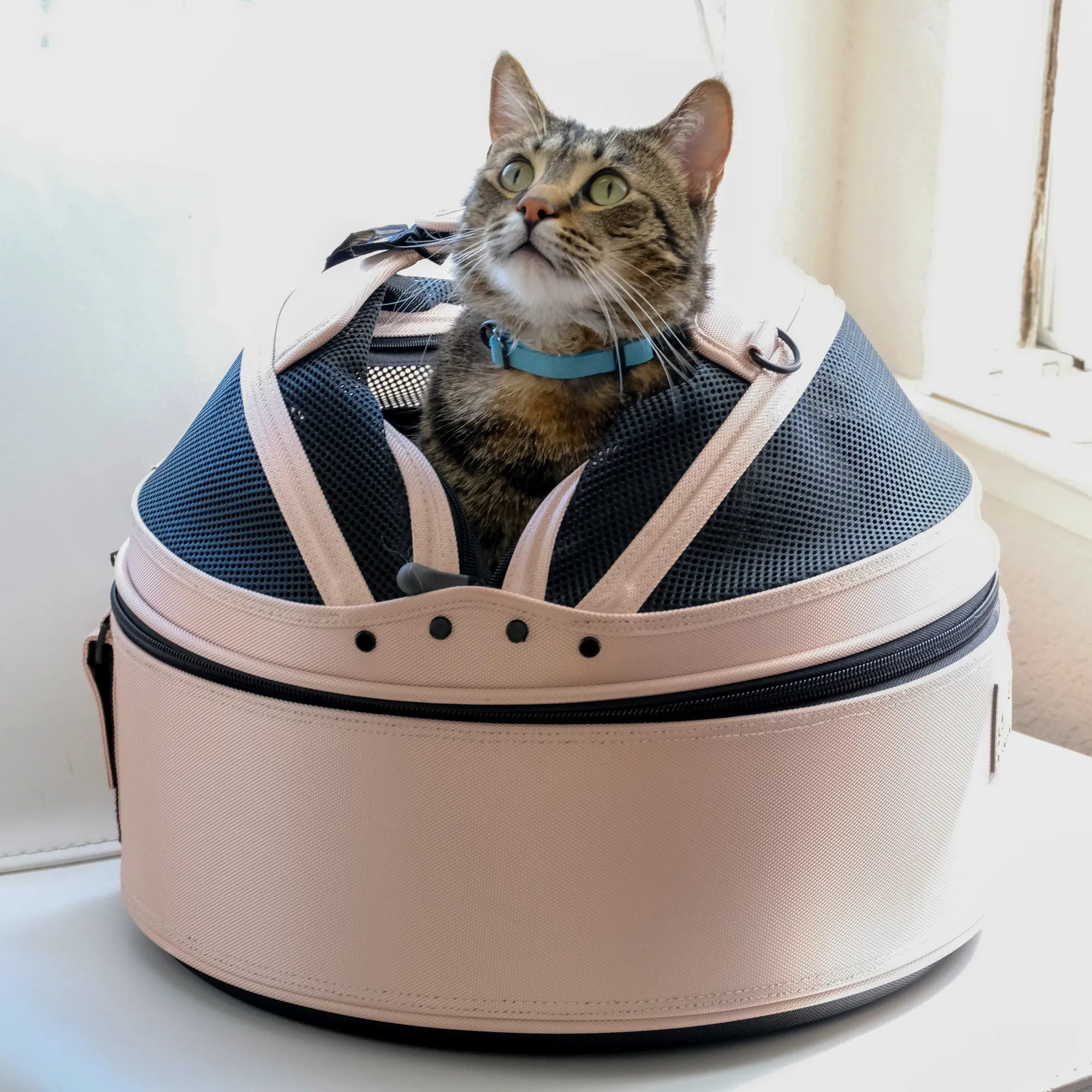 Sleepypod Mobile Pet Bed