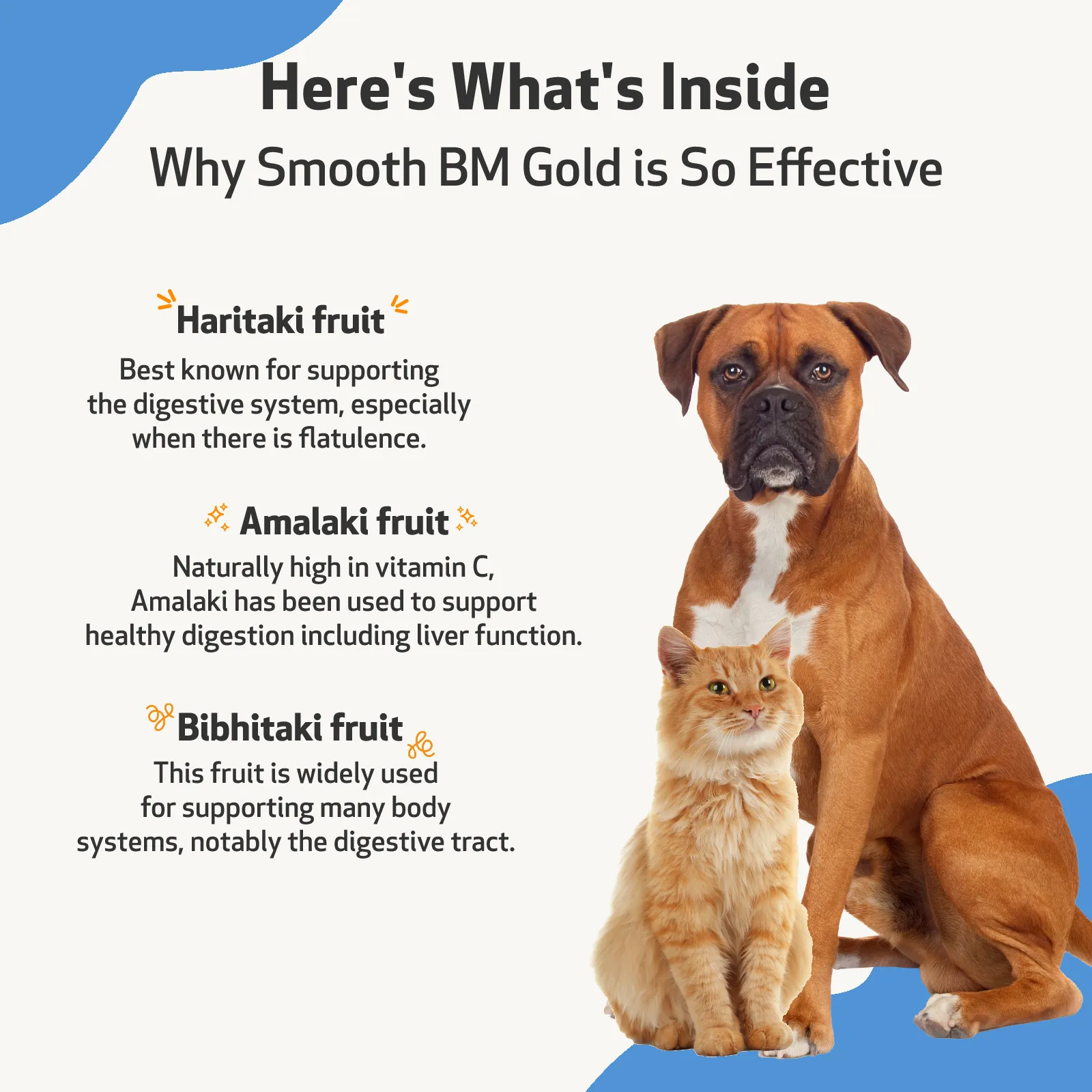 Smooth BM Gold - Supports Healthy Bowel Movements in Cats