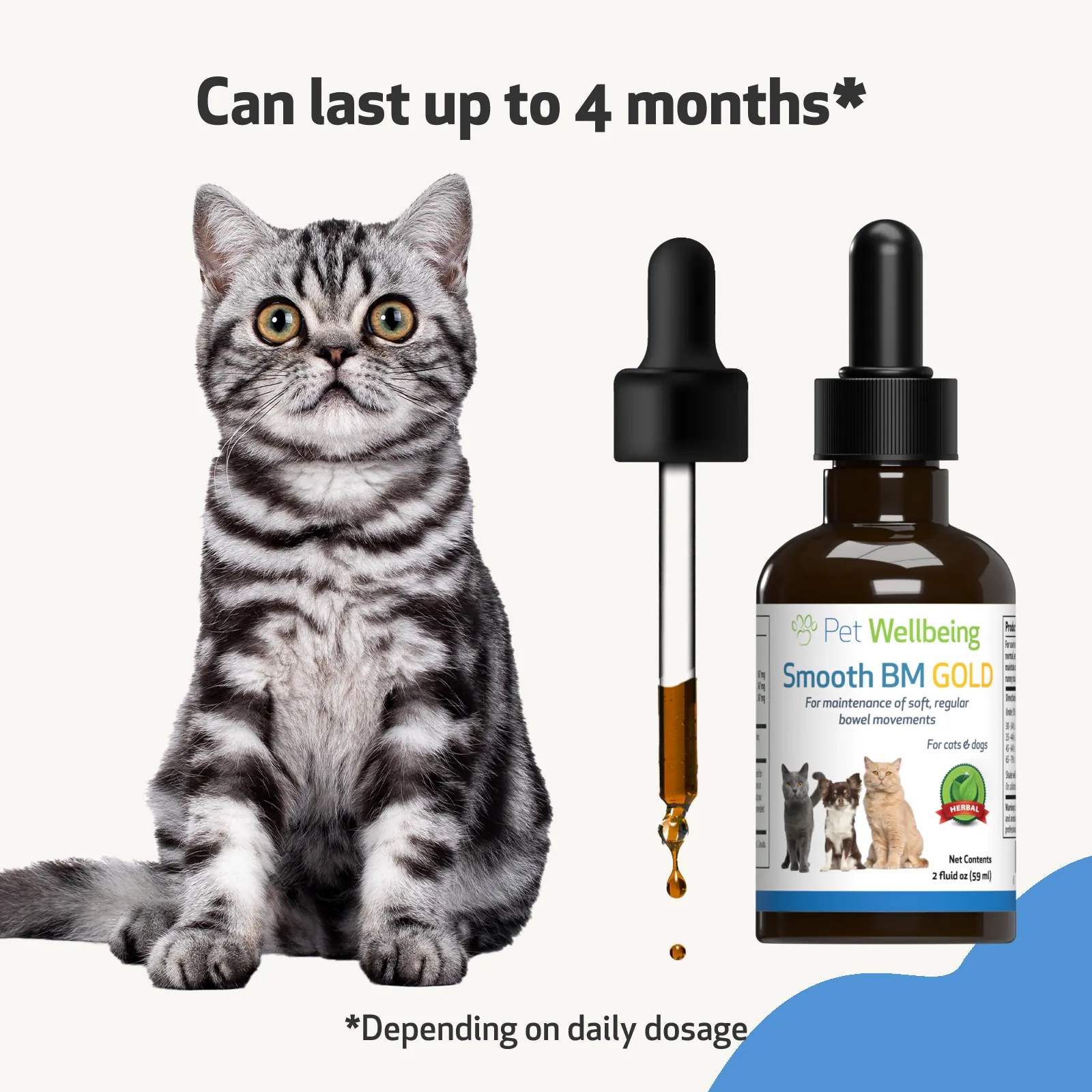 Smooth BM Gold - Supports Healthy Bowel Movements in Cats
