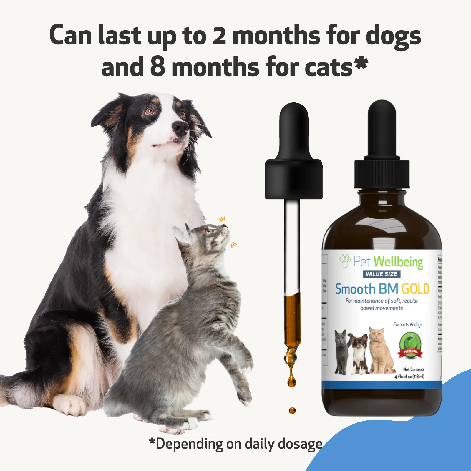 Smooth BM Gold - Supports Healthy Bowel Movements in Cats