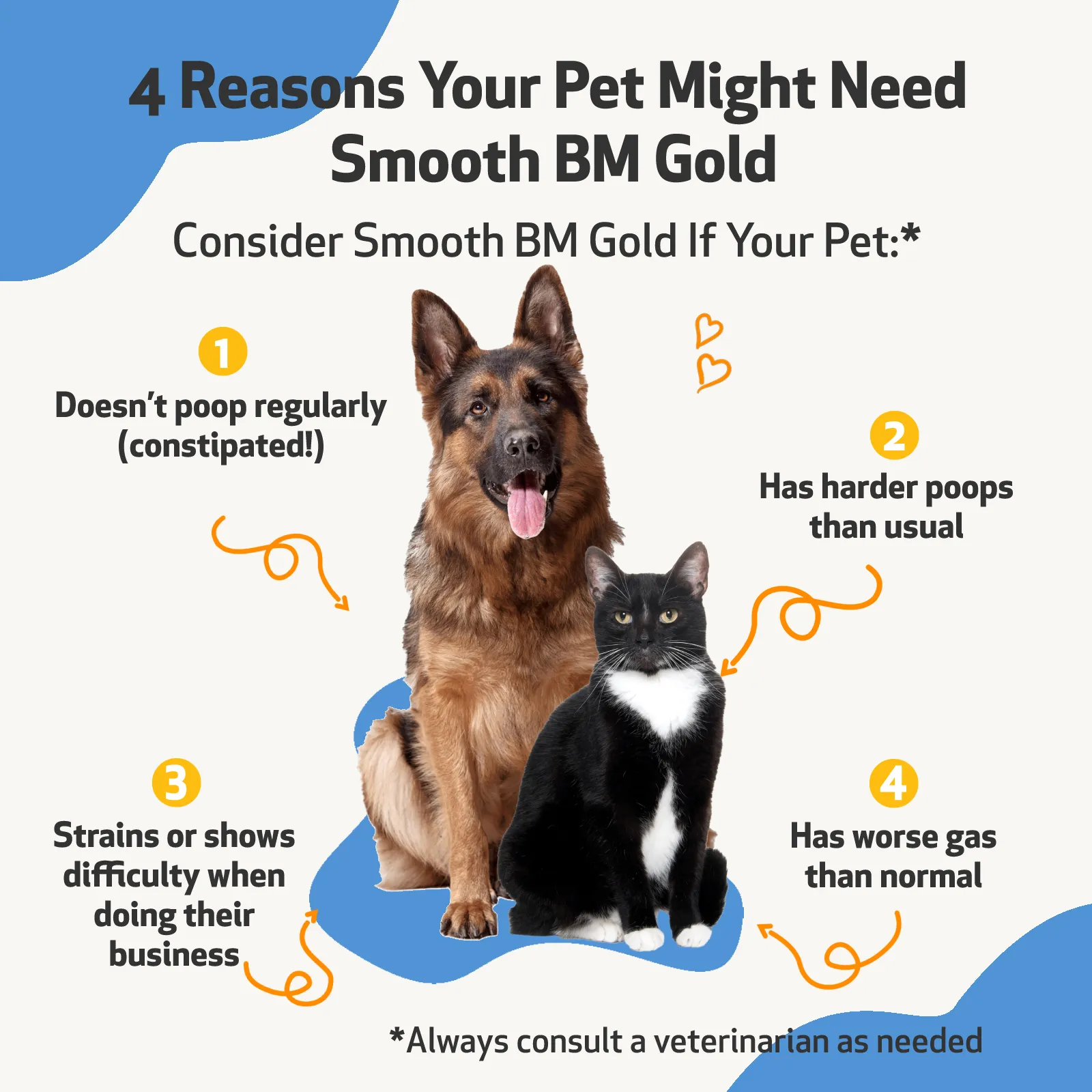 Smooth BM Gold - Supports Healthy Bowel Movements in Cats