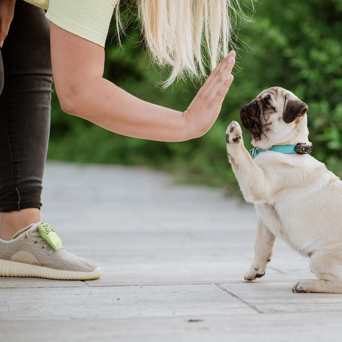 TICKLESS Mini Dog - The new generation of chemical-free ultrasonic tick and flea repellent