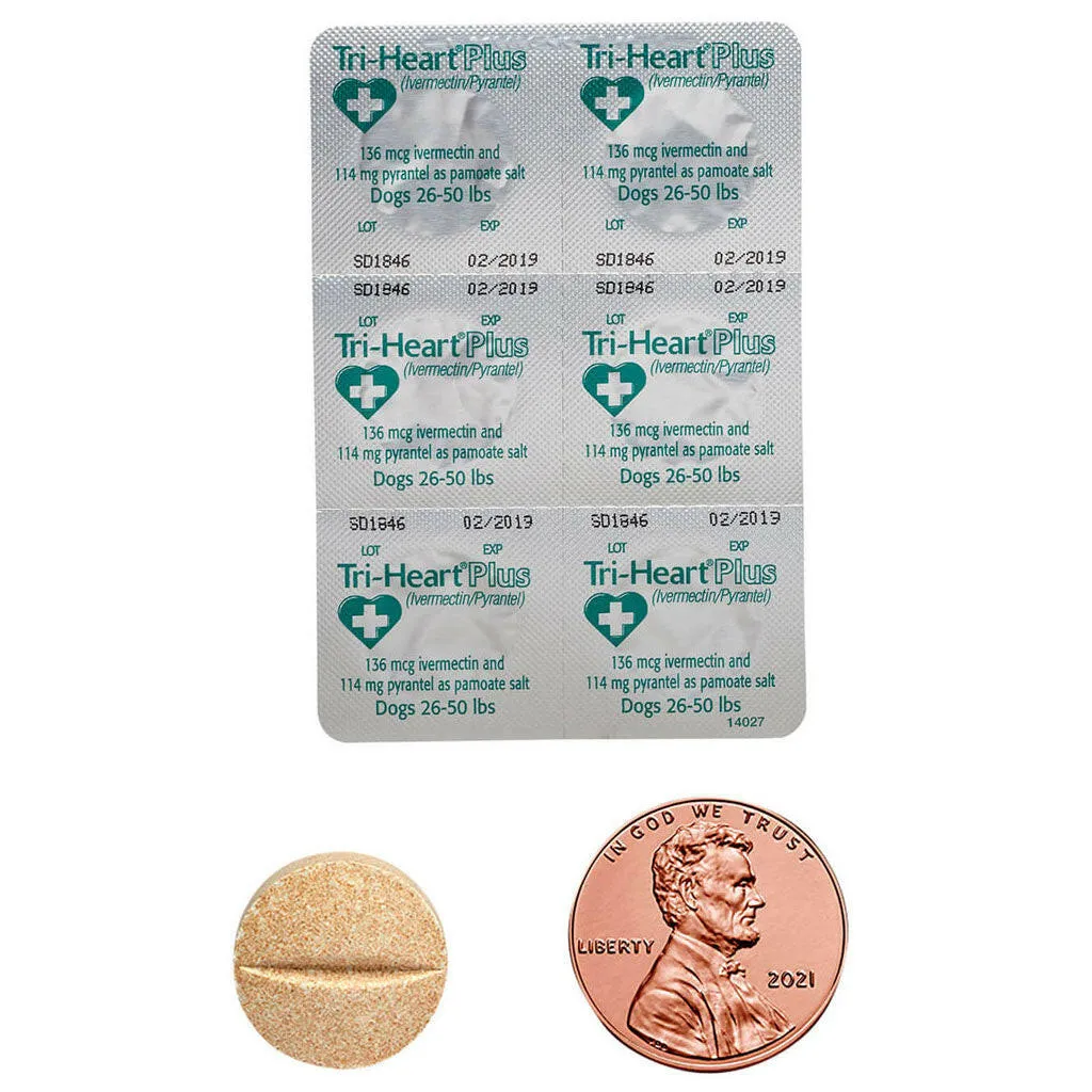 Tri-Heart Plus for Dogs 26-50lbs