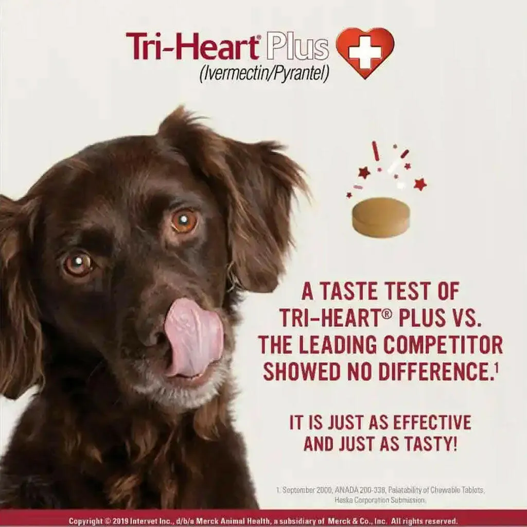Tri-Heart Plus for Dogs 26-50lbs