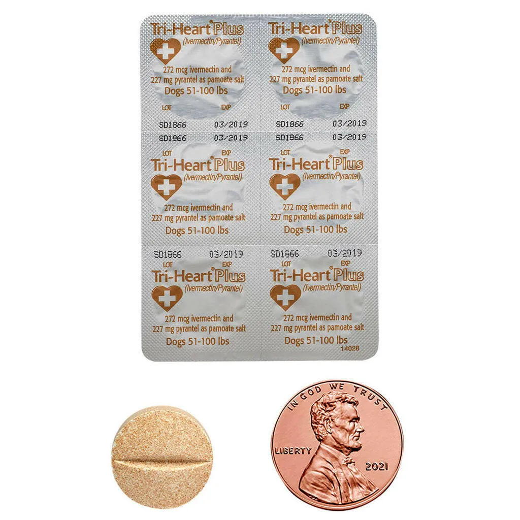 Tri-Heart Plus for Dogs 51-100 lbs