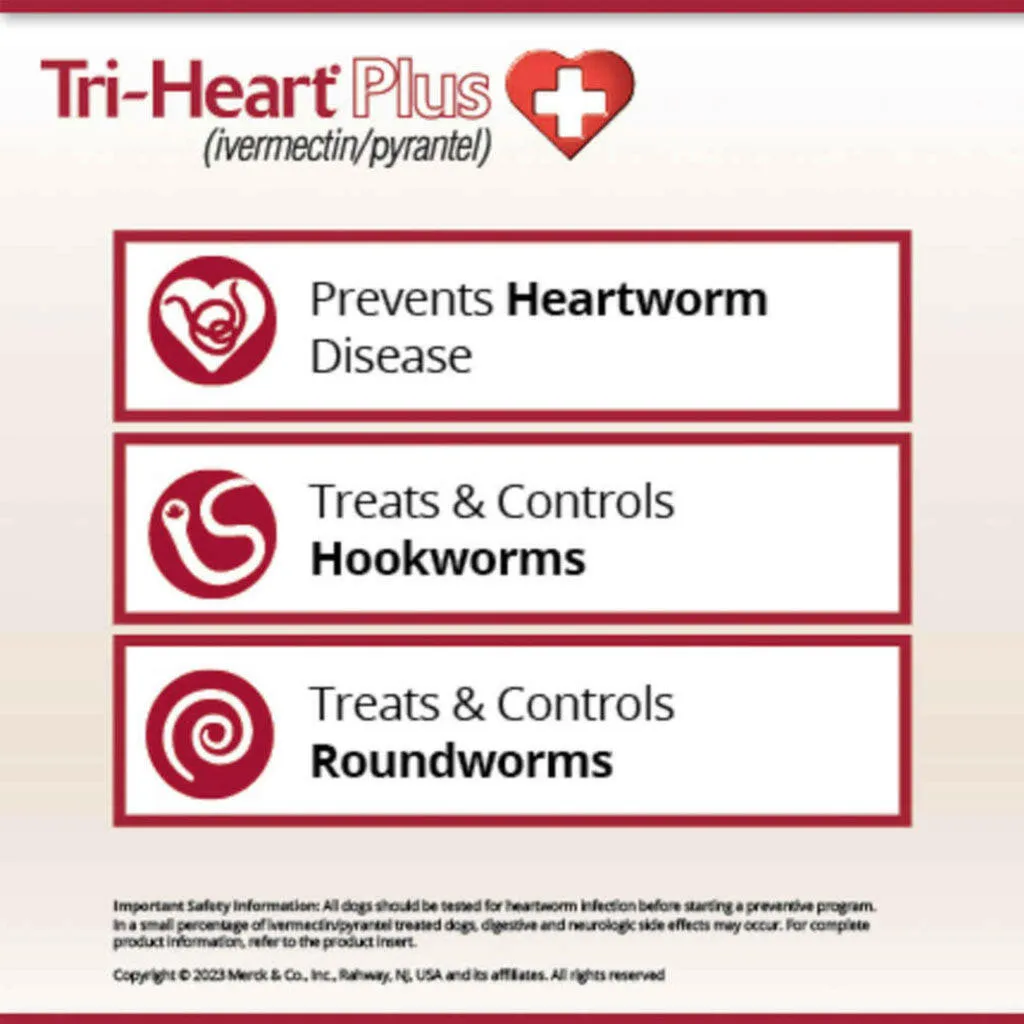 Tri-Heart Plus for Dogs 51-100 lbs