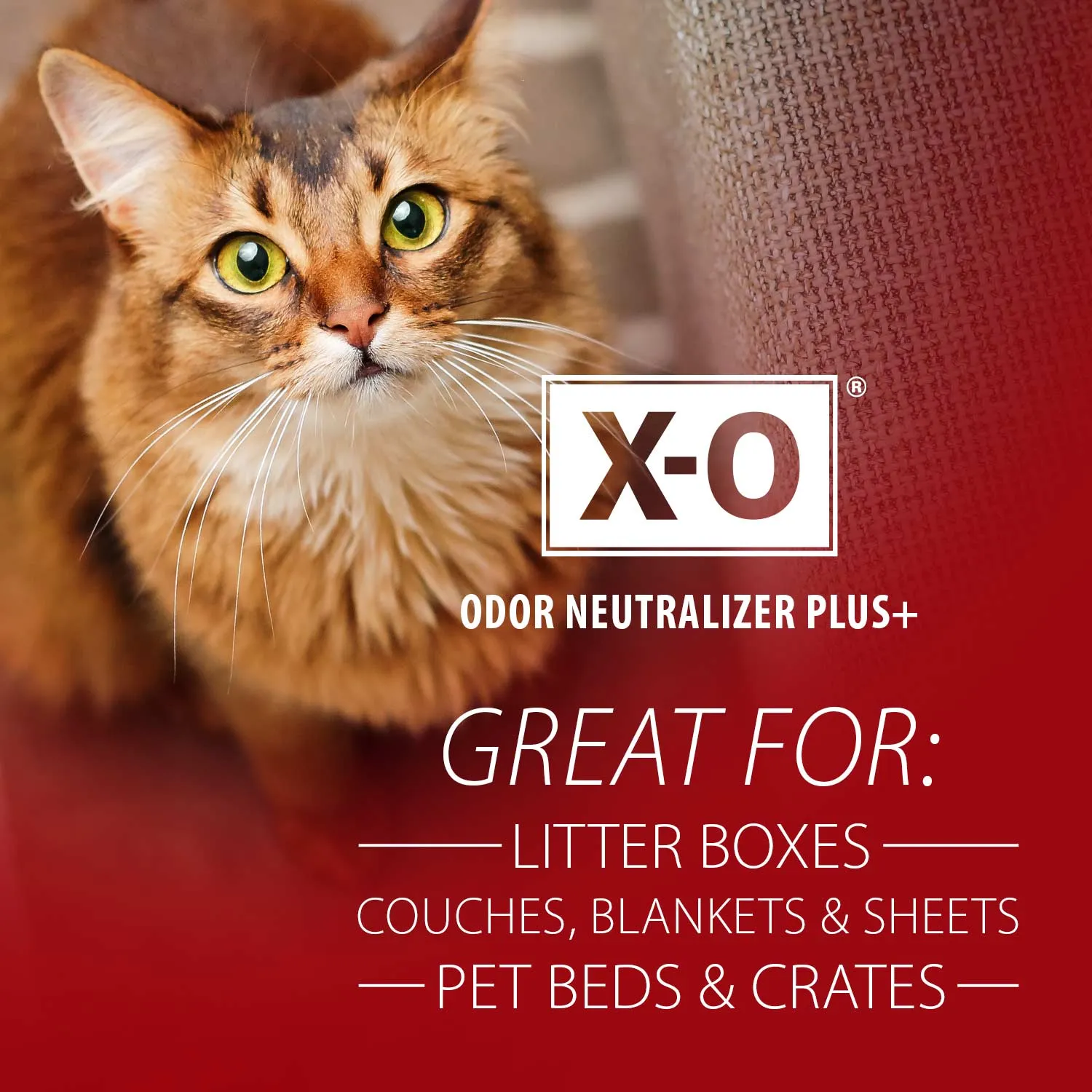X-O Pet Odor Neutralizer Plus   Cleaner Concentrate by Jeffers