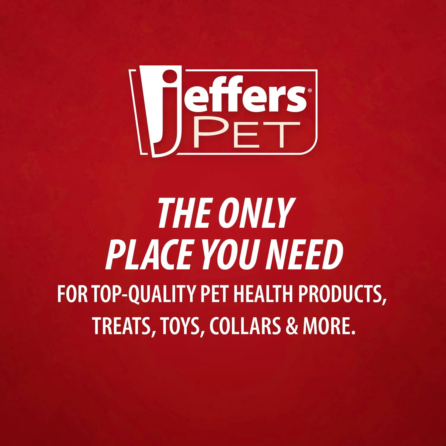X-O Pet Odor Neutralizer Plus   Cleaner Concentrate by Jeffers