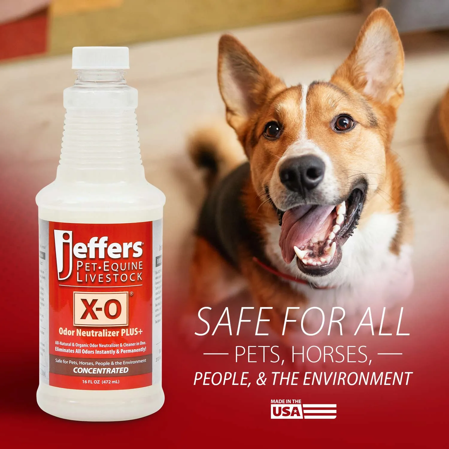 X-O Pet Odor Neutralizer Plus   Cleaner Concentrate by Jeffers